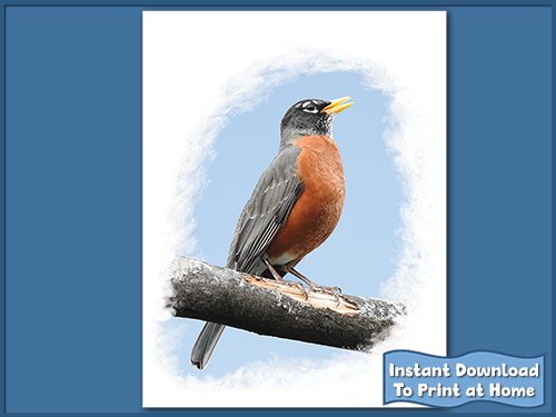 Front of a notecard has a photo of a robin sitting on a branch.